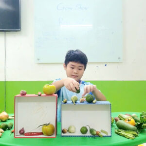 6d40076d04bf8de1d4ae