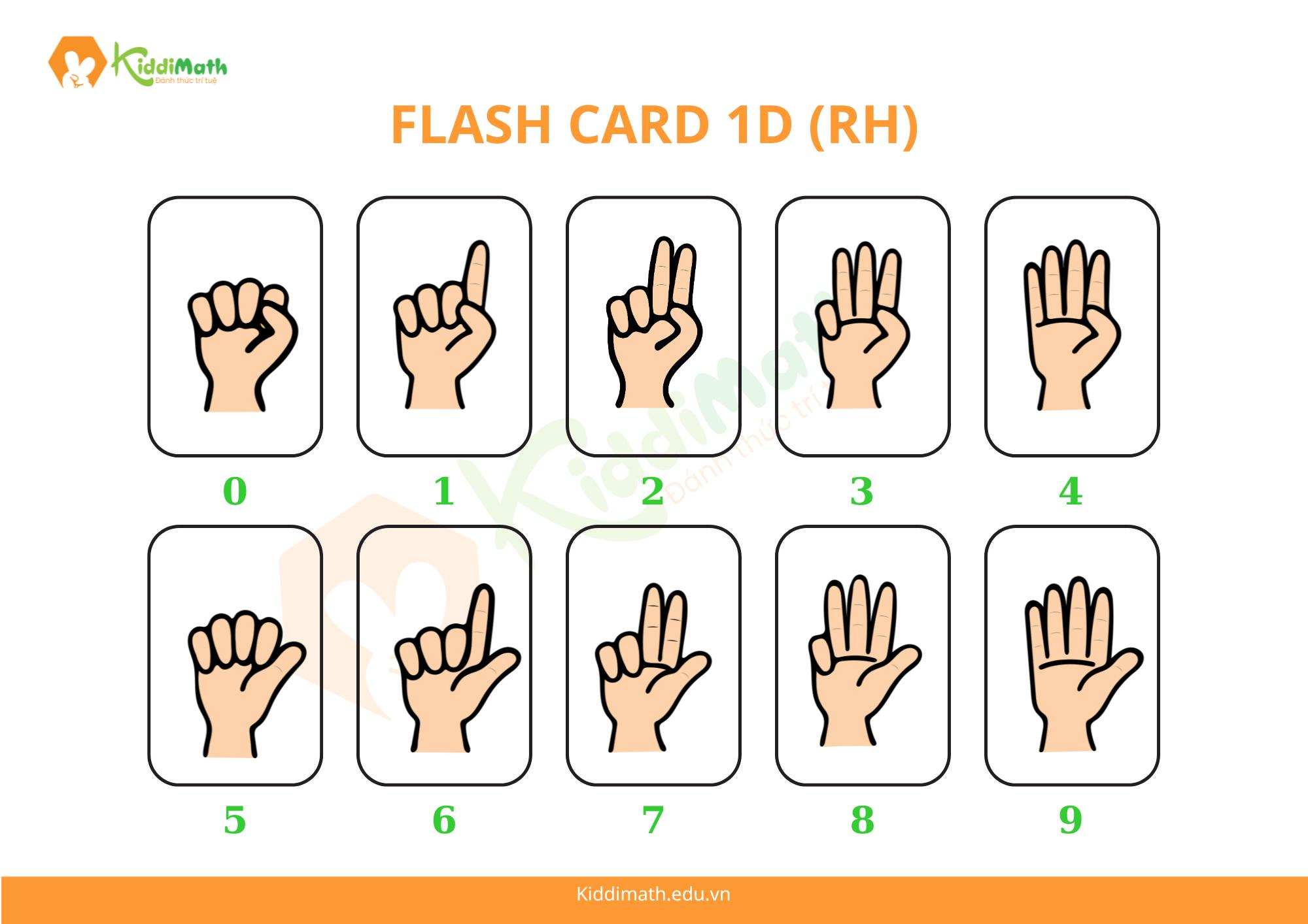 What Is the FingerMath Method? How to Guide Your Child to Learn ...